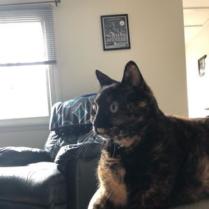 Meet your Posher, Frank